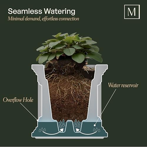 Mayne Cape Cod 20in Self-Watering Square Planter, Black - color: Black, size: 20in
