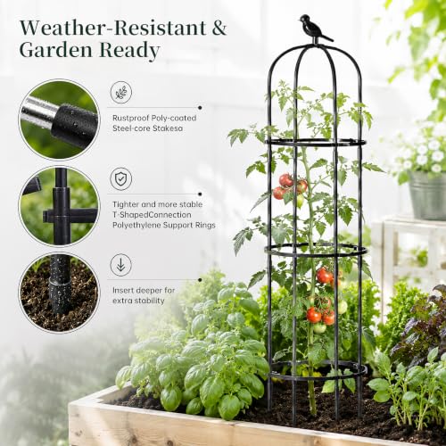 FOLLOOK Garden Obelisk Trellis for Climbing Plants Outdoor, 67", 1 Pack - color: 67"-Black-1PK