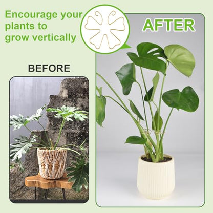 6pcs Plant Stem Support, Iron Monstera Plants Support, Plant Stem Holder - color: Butterfly-6pcs