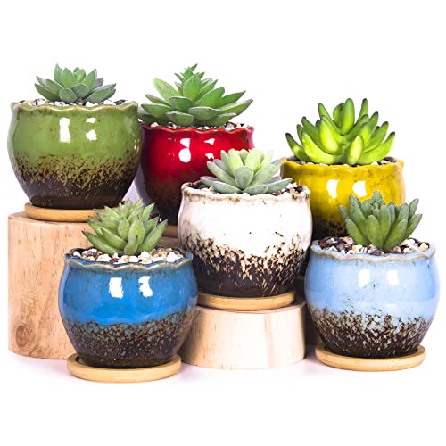 Succulent Pots, 4 Inch Small Plant Pots with Drainage Tray Set of 6 - color: Blue/Green/Red/White/Yellow/Light Blue - 4 Inch