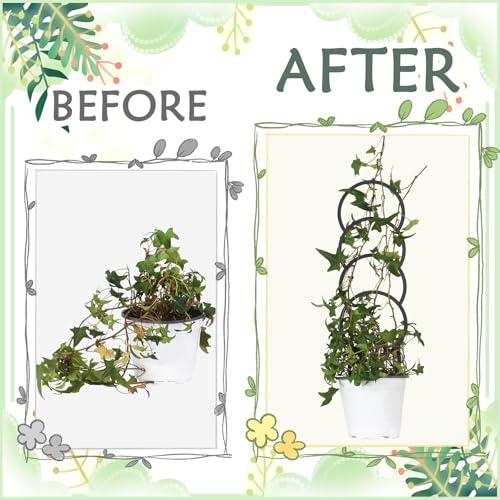 4 Pcs Plant Trellis Indoor Black Small Trellis for Potted Plants - style: Style 2