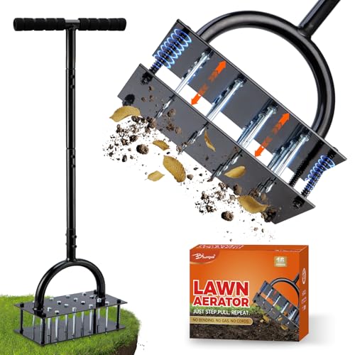 Bluesea Lawn Aerator Tool - 16 Iron Spikes with Ergonomic T-Handle, Automatic Dirt Clean for Soil Loosening & Yard Aeration, Manual Metal Grass Aerator (Black) - color: Black