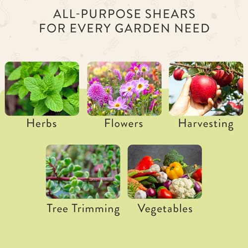 Modern Sprout Pruning Shears- Garden Snips-Herb Scissors- Chartreuse 1-Pack - color: Chartreuse