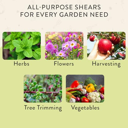 Modern Sprout Pruning Shears- Garden Snips-Herb Scissors- Chartreuse 1-Pack - color: Chartreuse