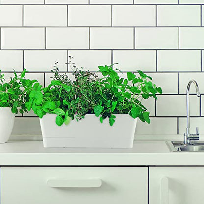 Skelang 3 Pcs Rectangular Plant Pot, 12" Flower Planter Box, Windowsill Container for Succulent, Herb, Vegetable (White) - color: White, size: 12 inches