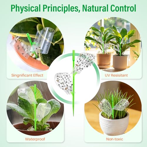 100 Pcs Gnat Sticky Traps for Plants, Sticky Traps for Gnats with 20 Stakes to Control, Aphids, Plant Bug, Mosquito Bits and Whiteflies(Transparent) - color: Transparent