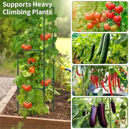 ROADPLUM 3 Pack 48" Tomato Cage for Garden, Heavy Duty Adjustable Plastic Coated Steel Pipe Tomato Stakes Trellis Plant Cages for Vegetable, Fruit, Flower, Rose Vine Climbing Plants - size: 3 PACK