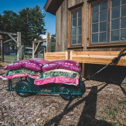 Backyard Expressions Heavy Duty Garden Cart 600 lb, 38" x 20" Steel Bed Utility Wagon with Removable Mesh Sides, Powder-Coated Frame, 10" Pneumatic Wheels, Pull Handle Yard/Lawn Hauler - style: 600 Lb (2026)