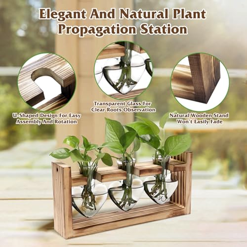 KOCASO Plant Propagation Station, Plant Terrarium with 3 Heart Shaped Vases & Wooden Stand, Desktop Glass Vase for Hydroponic Plants, Home Office Garden Decor Planter Gift for Plant Lovers