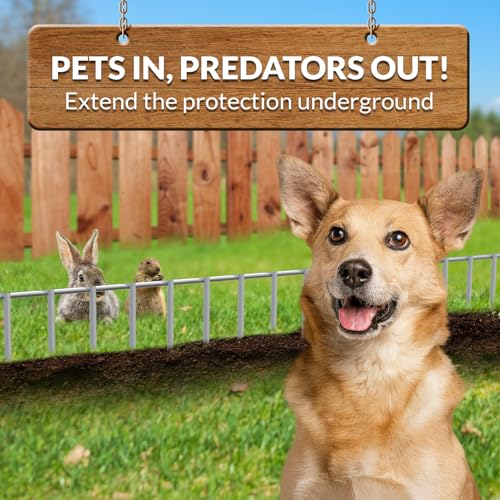 Dig Defence Original Animal Barrier Garden Fence - Small/Medium, 10 Pack - style: Pack of 10