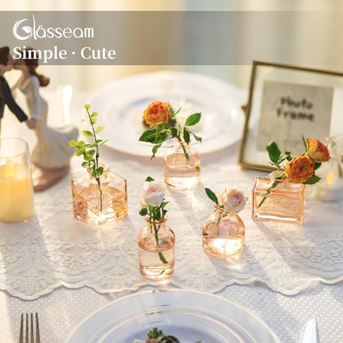 Glasseam Champagne Mini Bud Vases, 5 Pcs Small Glass Vases for Centerpieces - color: Champagne, size: 5Pcs- Mini Vases