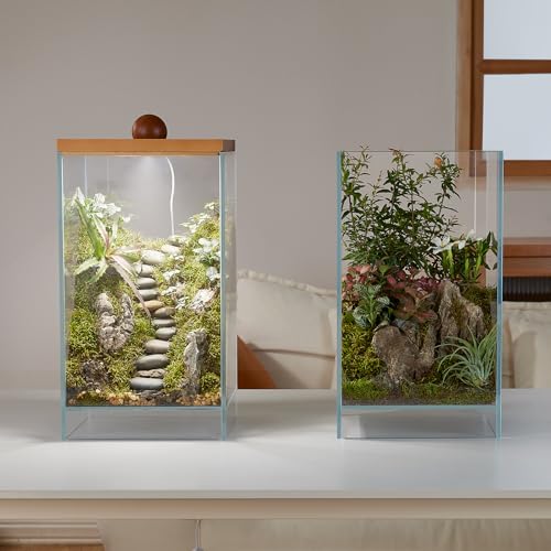 Large Glass Plant Terrarium: 13.7H+7.8W Terrarium with Light - size: H-13.7IN