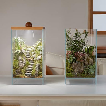 Large Glass Plant Terrarium: 13.7H+7.8W Terrarium with Light - size: H-13.7IN