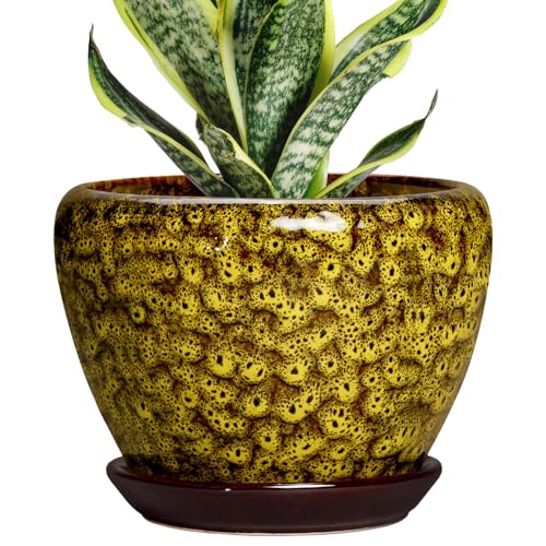 6 Inch Ceramic Plant Pot, Yellow Leopard - color: Yellow Leopard, size: 6 Inch