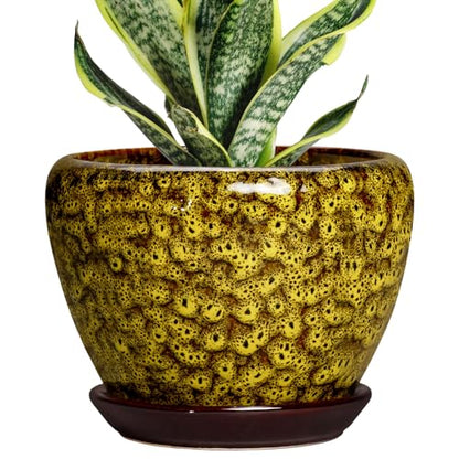 6 Inch Ceramic Plant Pot, Yellow Leopard - color: Yellow Leopard, size: 6 Inch