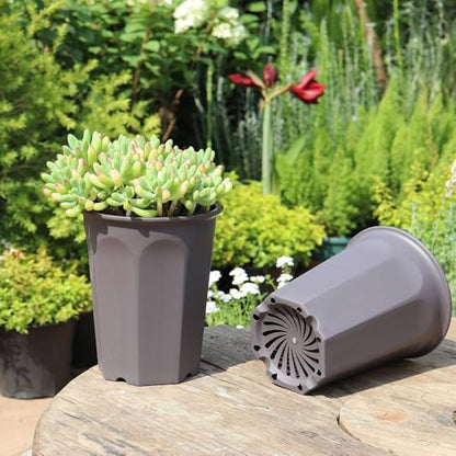 8 Pack 6.10 Inch Plastic Deep Nursery and Seedling Pots, Round Transplant Seed Starter Planter, Gray Color - color: Gray, size: 6.10 inch