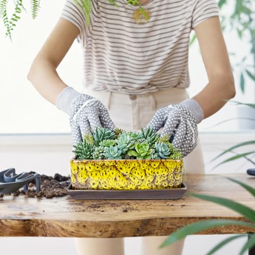 Succulent Pots - Long Rectangle Succulent Planters with Drainage Tray - color: Yellow