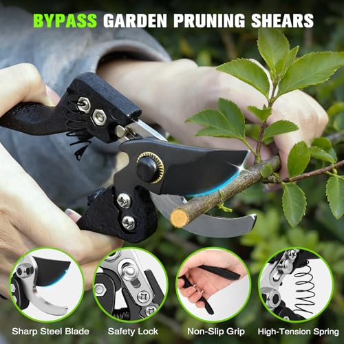 28-38" Extendable Loppers & Pruning Shears Set, SK5 Compound Action 2" Cut - style: 38" Extendable Lopper Set