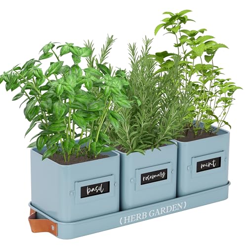PERFNIQUE Indoor Herb Garden, Herb Garden Planter Set with Tray, Farmhouse Indoor Plant Pots, Windowsill Herb Garden with Drainage(Planter only) for Indoor/Outdoor, Window Pots(Sky Blue) - color: Sky Blue