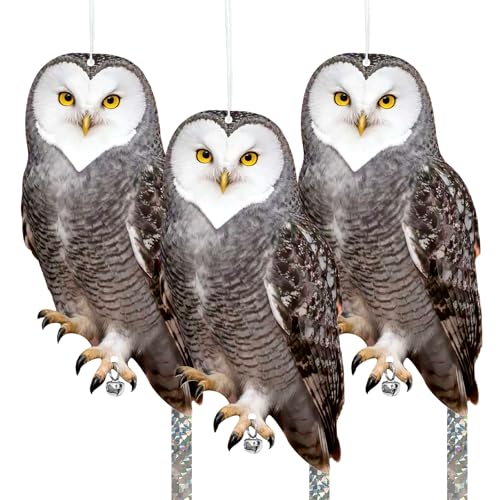 Owls to Keep Birds Away: 3Pcs Fake Owl with Reflective Tape for Orchard Garden Patio Pool, Reflective Hanging Decoration to Keep Birds Pigeon from Windows Tree Vineyard - color: Heart-3pcs