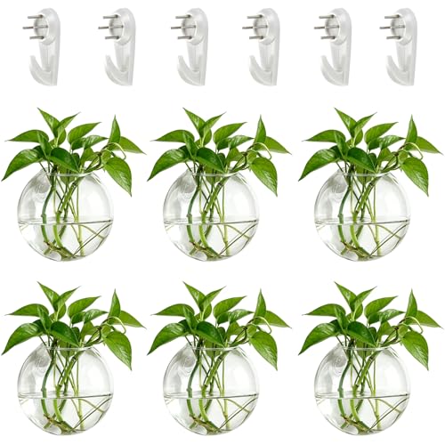 NUPTIO Glass Wall Hanging Planters: Propagation Station for Plants, 6 Pcs - size: 6 Pcs