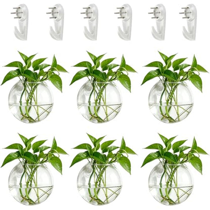 NUPTIO Glass Wall Hanging Planters: Propagation Station for Plants, 6 Pcs - size: 6 Pcs