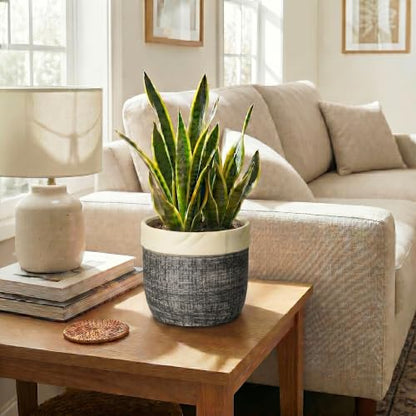 8 Inch Plant Pot, Ceramic Flower Pots, Round Planter, Light Black - color: Light Black, size: 8 Inch