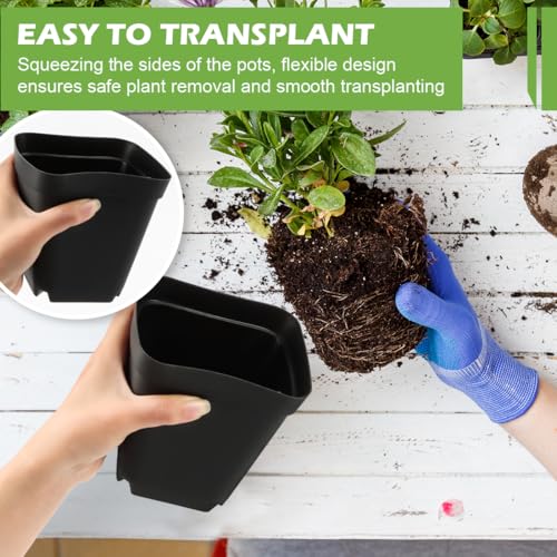 RooTrimmer Square Nursery pots 4 Inches 60Pcs, Seedling Plastic Seeds propogation Growing Pots (Black,4Inches,60Pcs) - color: Black, size: 4 Inch - 60pk