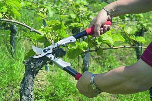 FELCO F21 Swiss Made Loppers for Gardening – 24.8" Heavy Duty Loppers for Tree Trimming | Tree Branch Cutters | Tree Trimmer Tool with Replaceable Carbon Steel Blade, Forged Handles Made for Life - size: 24.8 in