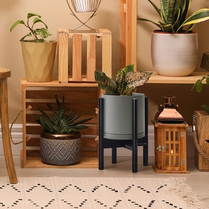 D'vine Dev Ceramic Pot with Ebony Wood Stand, Grey, 8 in, 55-B-M-3 - color: Grey Pot + Ebony Stand, size: 8 Inch