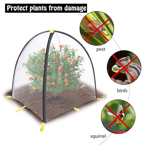 PURPLE STAR 1N 35 x35 x 39 Inch Insect Barrier Plant Tent Cover-Insect Bird Barrier Netting Mesh-Bug Guard Cover with Stakes for Protect Plants Fruits from Insect Bird Eating (1, L) - color: L