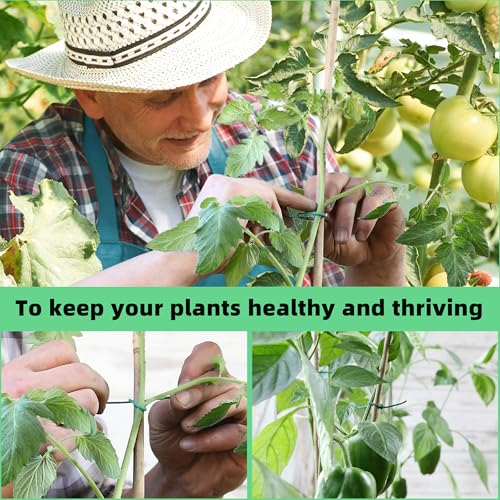 YMHB 120 Feet Green Soft Twist Tie Tomato Plant Tie