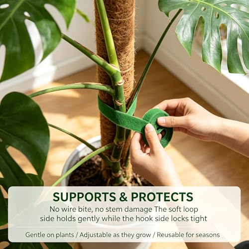 3 Pack Plant Ties Garden Ties for Stakes | Reusable Hook-and-Loop Fastening Tape for Climbing Plants, Cable Organization, Cut-to-Length 16.5ft per Roll, 1/2 in Wide, Green