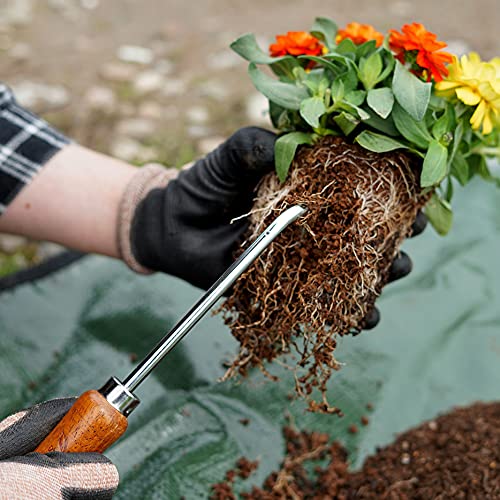 Root Hook Japanese Garden Tool for Loosing Soil, Heavy Duty Japanese Steel, Root Pick Tool for Repotting Bonsai and Transplanting Flower, Made in Japan, Silver - color: Brown Root Hook