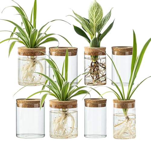 Glass Propagation Stations for Plants -Desktop Flower Vases,Propagation Flower Vases Set – 2 Large & 2 Small for Plant Cuttings，for Living Room, Bedroom Decoration,Home,Office Decor (8)