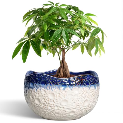 Ceramic Flower Pots, 10 Inch Planter with Drainage, Beige-Blue - color: Beige-blue, size: 10.5 Inch