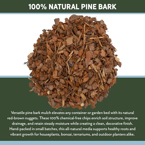 100% Natural Pine Bark Mulch Nuggets (8 Quarts), Small Mulch Chips for Indoor/Outdoor Container Gardening, Ideal for Soil Supplement, Houseplant Mulch - size: 8 Quarts