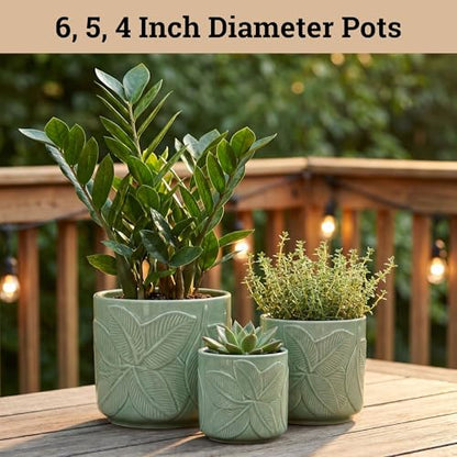 Ceramic Pots for Plants Set of 3, 6, 5, 4 Inch Diameter with Drainage Holes