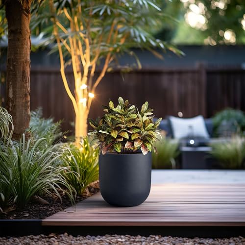 Kante Small Round Capsule Charcoal Concrete Planter 11" Dia, Outdoor - color: Charcoal, size: 11.0"Dia x 11.0"H