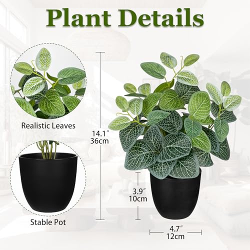 Villa Como 14.5" Artificial Plants Indoor Home Decor Small Faux Nerve Plant - color: #Green Nerve Plant