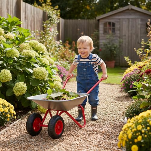 Kids Metal Wheelbarrow 2 Wheel Children Wheelbarrow for Kids(Silver) - color: Silver
