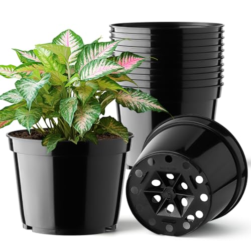 BTPLASTIK 15 Pack 6 Inch Plastic Plant Pots with Drainage Holes, Sturdy Nursery Pots for Plants, Thickened Flower Pots for Indoor Outdoor Planting Transplanting, Succulents, Seedlings, Black - color: Black, size: 6 Inch-15P