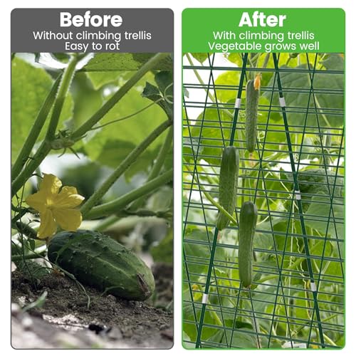 Foldable Cucumber Trellis 48" L x 34" W - size: 48" L x 34" W