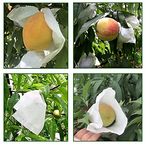 Fruit Protection Paper Bags - 100pcs White Protection Covers 6.2x7.7inch, Orchard, Frost, Plants (16x20) - size: 16x20 cm