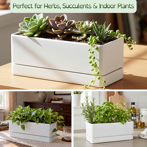 D'vine Dev Rectangular Planter, 12 x 4.5 in, White, Set of 1, 76-X-A-1 - color: White