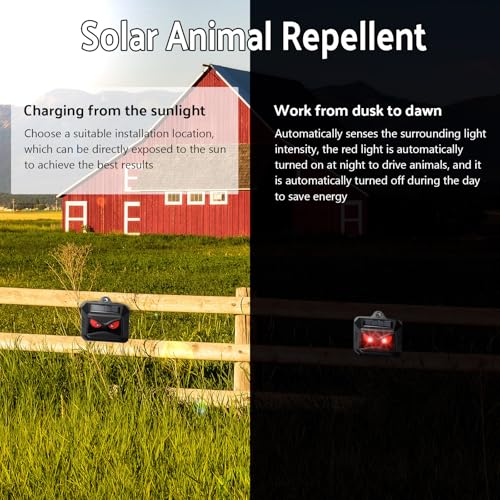 4 Pack Control Light Nocturnal Animal Repeller