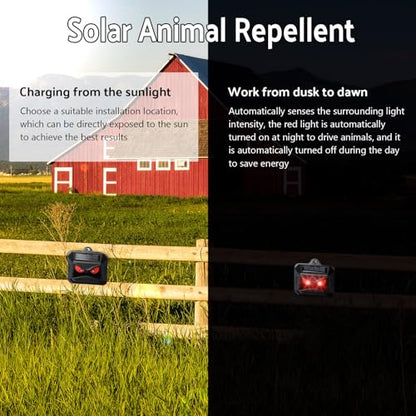 4 Pack Control Light Nocturnal Animal Repeller