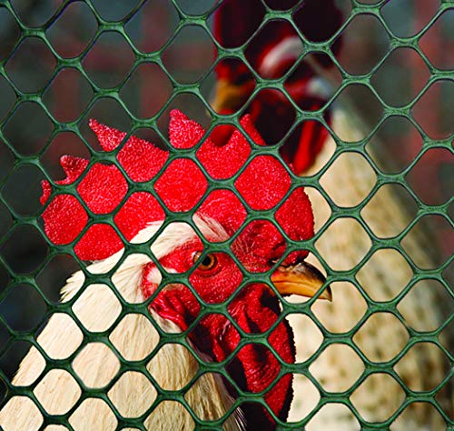 Tenax Poultry Fence - Durable Plastic Poultry Fencing - 4 ft x 25 ft - Green Plastic - color: Green, size: 4-ft x 25-ft