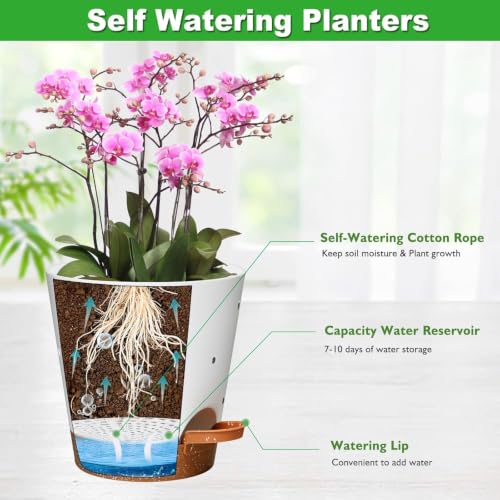Orchid Pot, 6 Inch Orchid Pots with Holes, 6 Pack Self Watering Plant Pots - color: Multicolor - 6pack