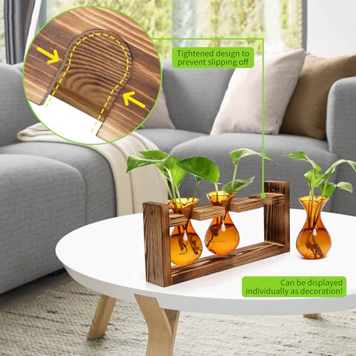 Plant Propagation Station Plant Terrarium Unique Birthday Gifts for Women - color: Amber